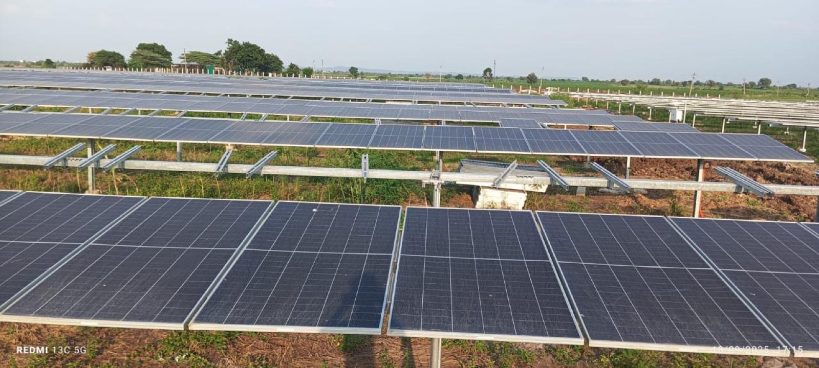 A wide field of bifacial module rows on steel mounting structures over green ground.