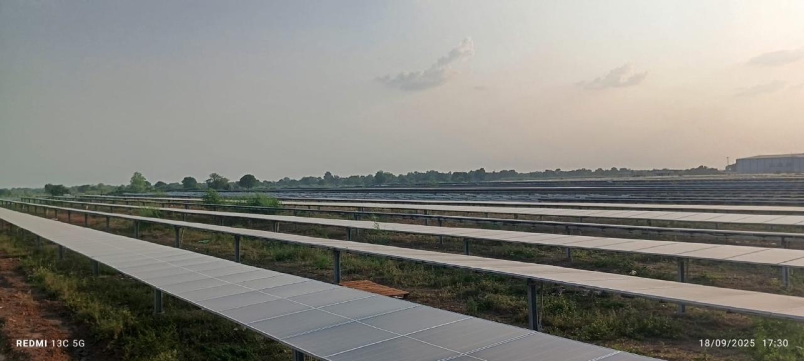 Rows of bifacial solar modules stretching to the horizon at golden hour across open fields — a commissioned Biosel utility-scale ground-mount plant.