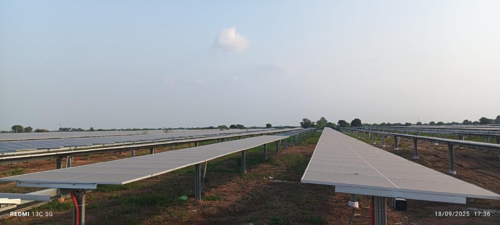 Bifacial module rows running to a distant tree line beneath a single cloud in a wide blue sky.