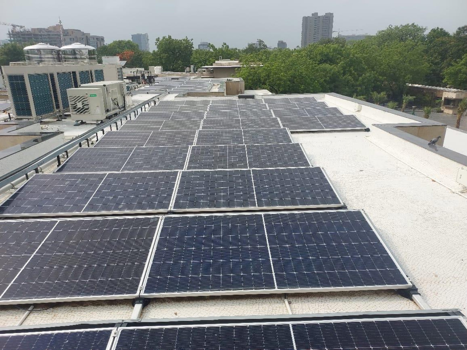 A commercial rooftop solar array among HVAC units with a city skyline and construction cranes behind.