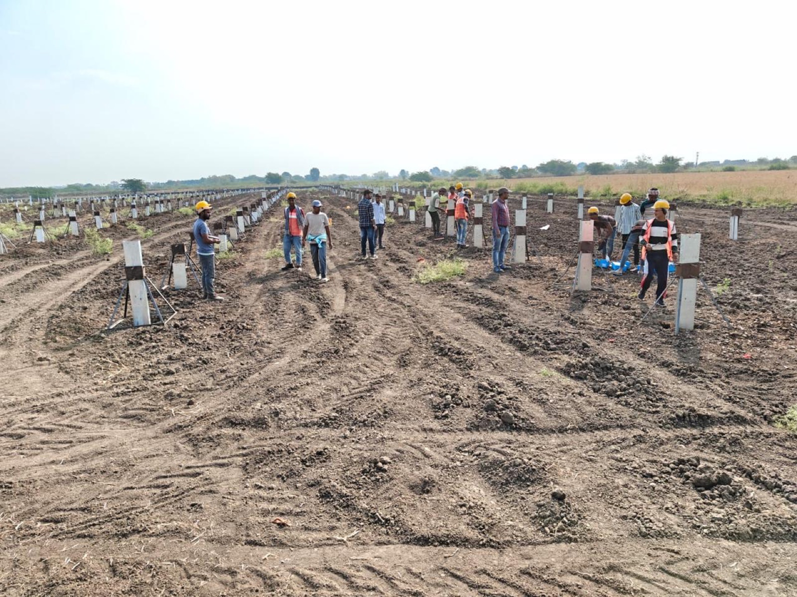 Biosel engineering crew in hard hats walking a freshly graded field, setting out pile-foundation positions for a ground-mount plant.